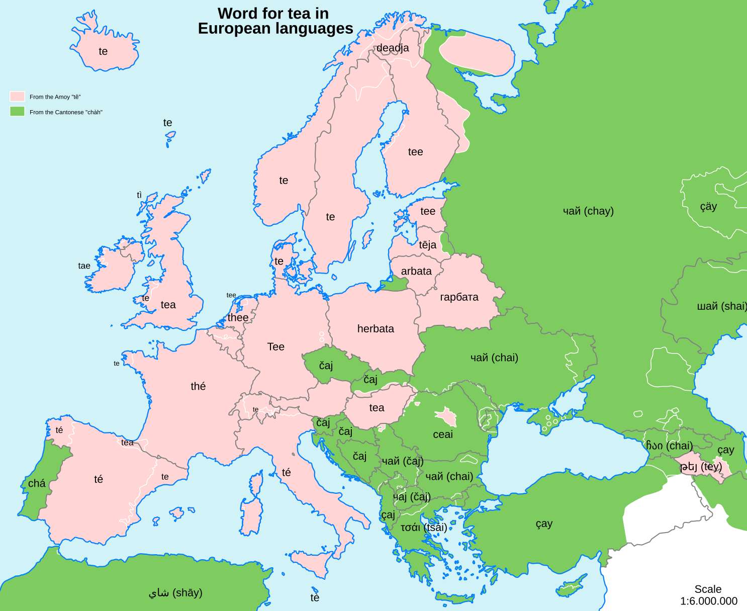Word for Tea in European languages