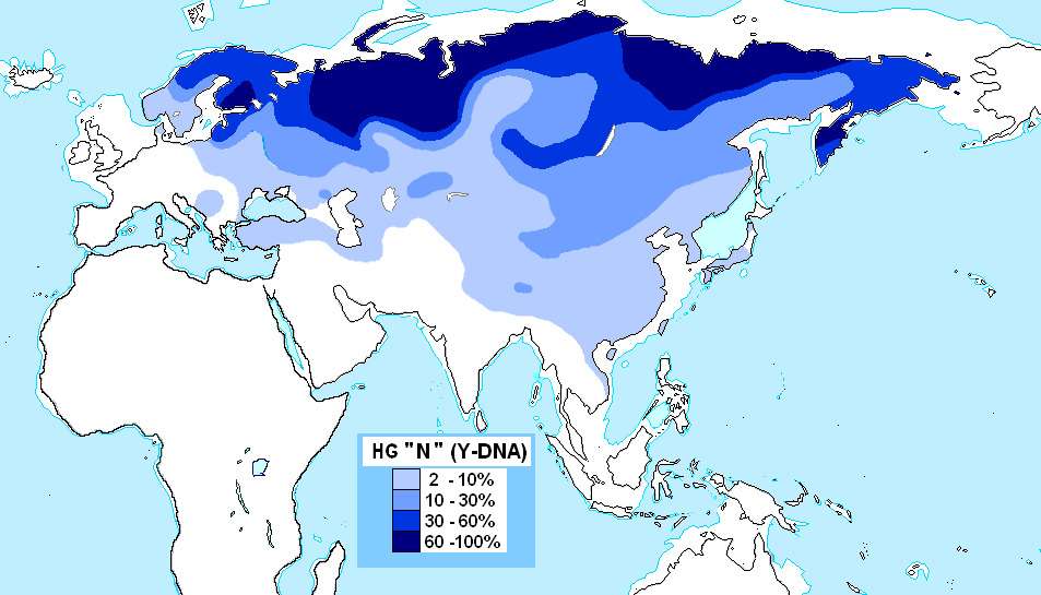 Distribution of Y-chromosome haplogroup N (related to Uralic people)