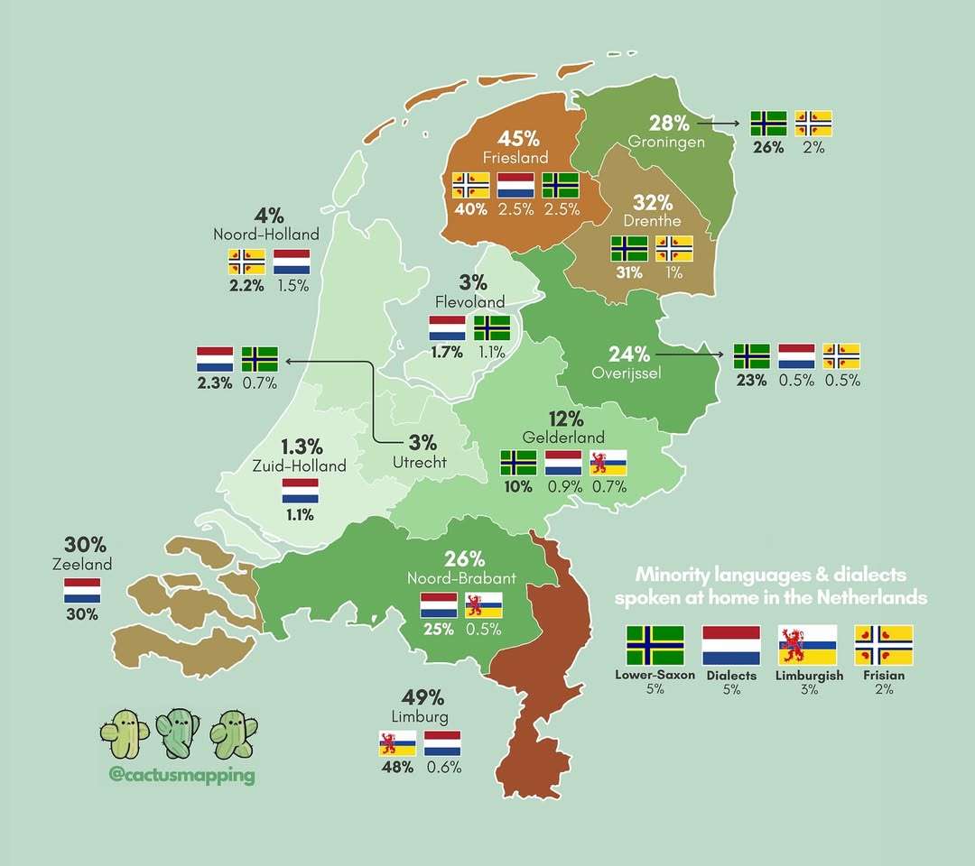 Percentage of Dutch speaking a Regional language or a dialect of Dutch at home (2022) 