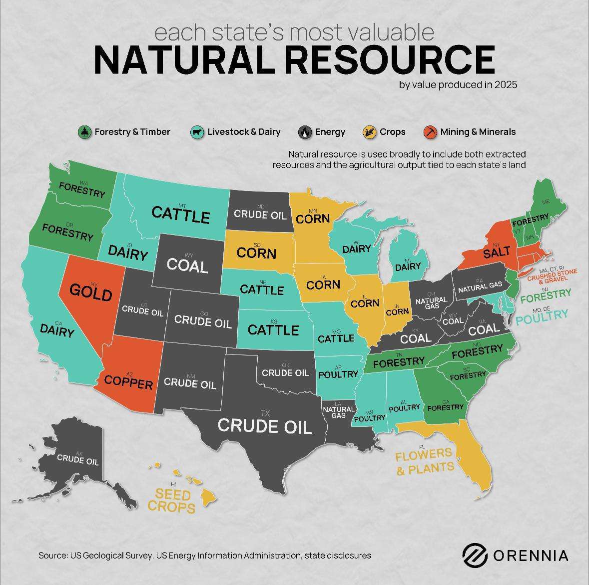 The most valuable resource in each US state
