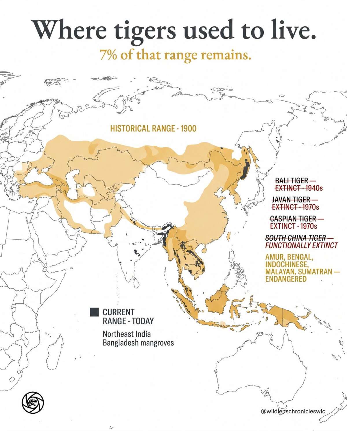 Where tigers used to live?