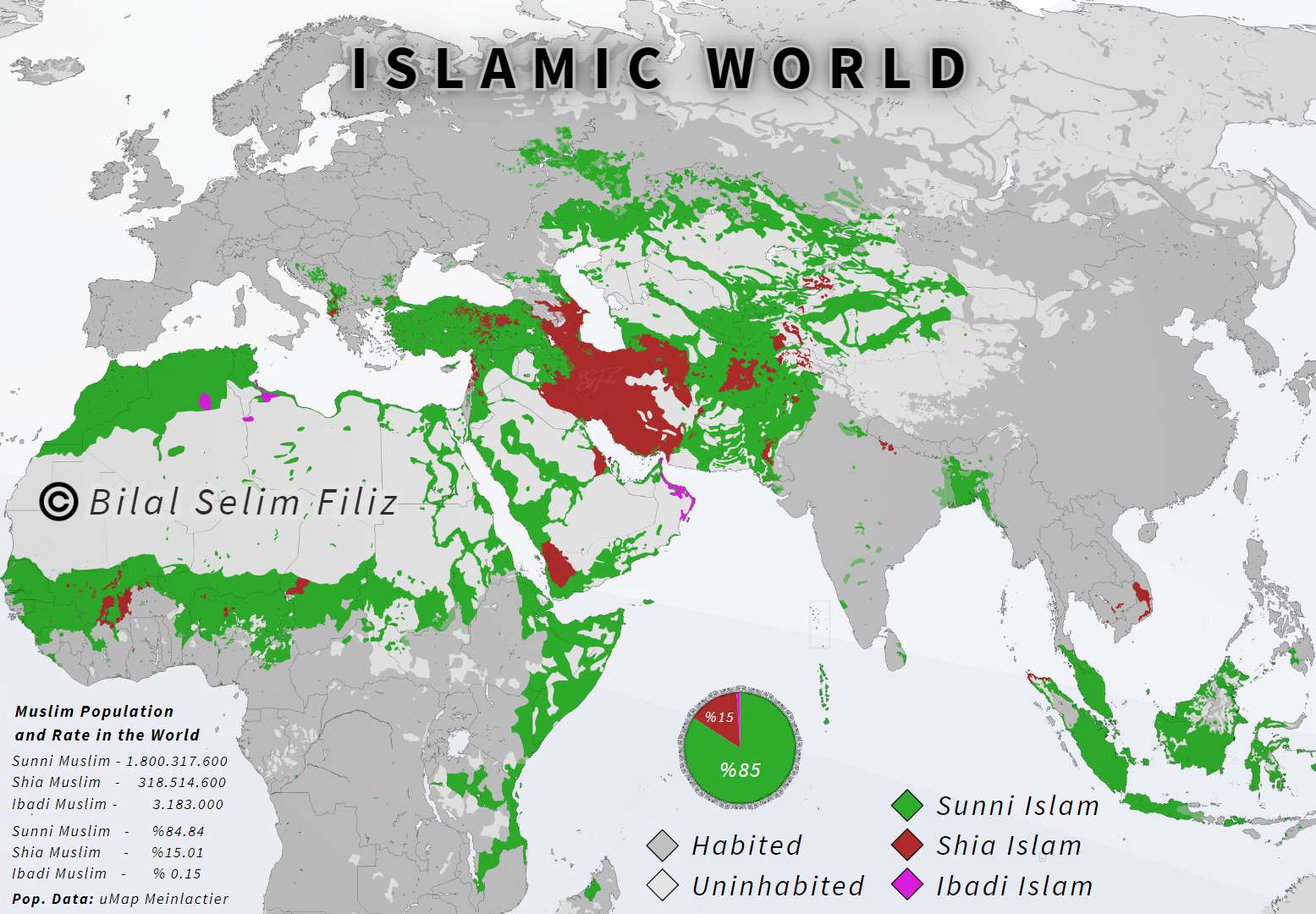 Islamic World in the 21st Century